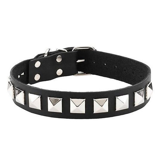 Spartacus Studded Single Strap D-Ring Control Collar - Collars and Leads