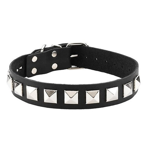 Spartacus Studded Single Strap D-Ring Control Collar - Collars and Leads
