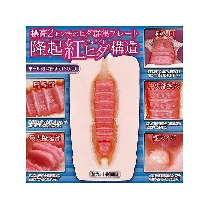 Exe Two-Layered Japanese Male Stimulator By Exe And King - Masturbators and Strokers