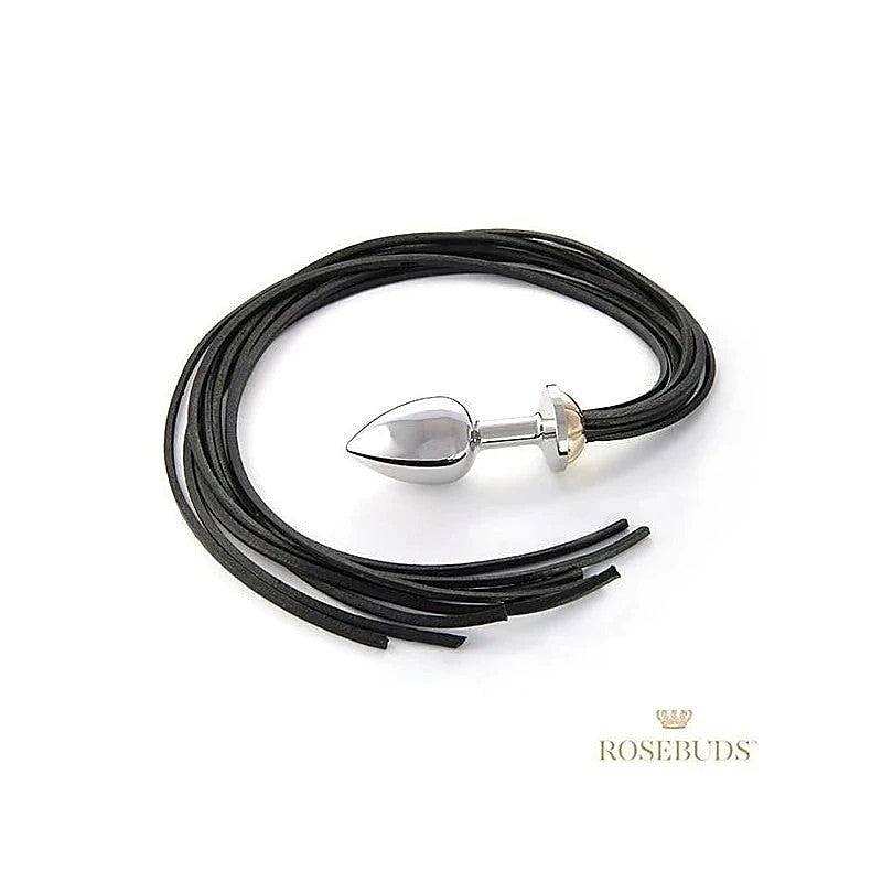 Intimate Fusion - Luxurious Metal Plug And Leather Whip Set - Butt Plugs