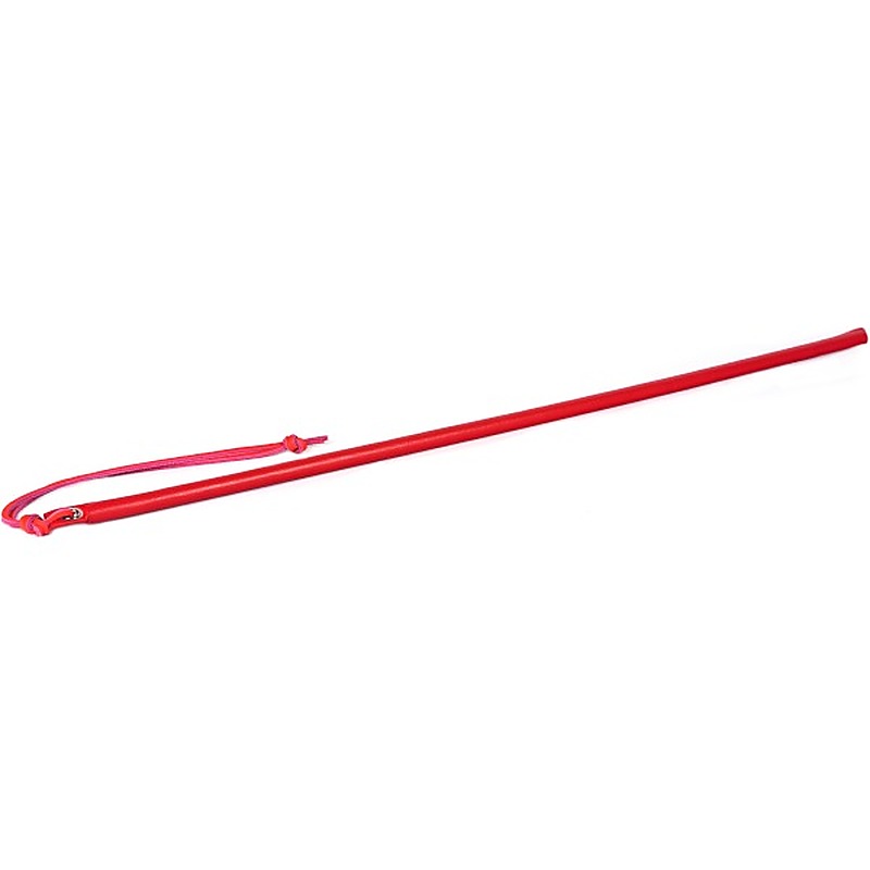 Leather Wrapped Discipline Cane by Spartacus - Whips And Crops