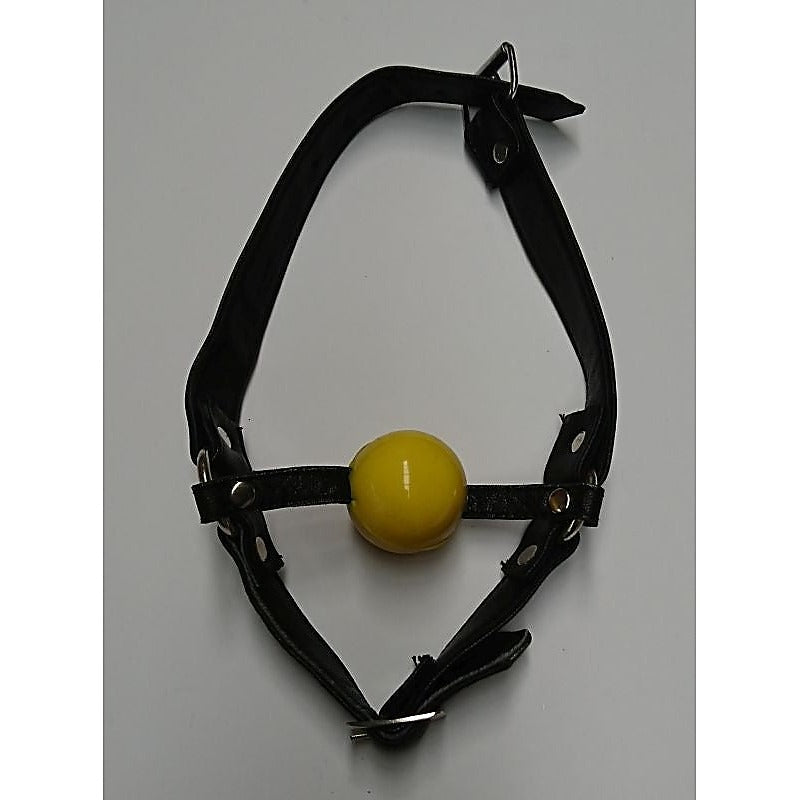 Fetish Toy Box Ball Gag with Face Harness - Bondage Gags and Bits