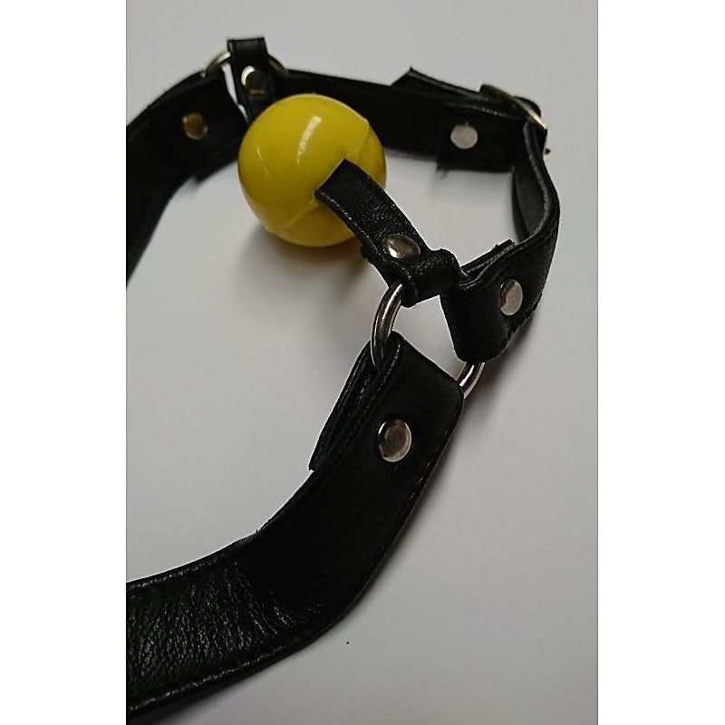 Fetish Toy Box Ball Gag with Face Harness - Bondage Gags and Bits
