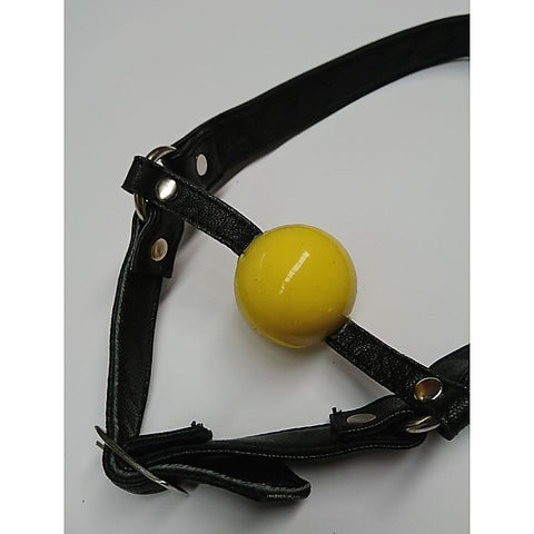 Fetish Toy Box Ball Gag with Face Harness - Bondage Gags and Bits