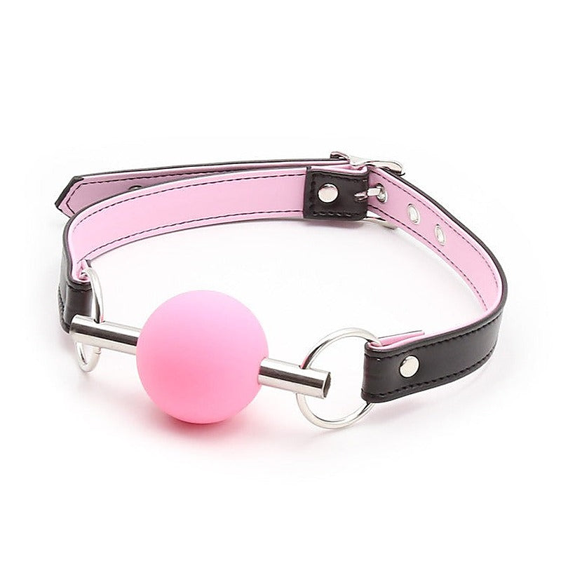 Metal Bar Silicone Ball Gag by BDStyle - Bondage Gags and Bits