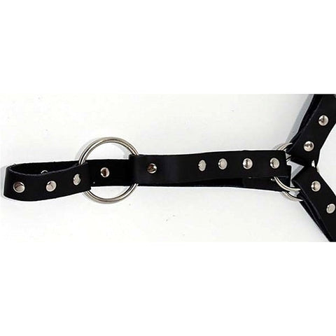 Leather Waist Harness With Cockring by Hell's Couture - Cuffs and Restraints