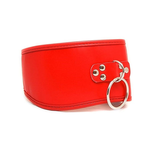 Posture Collar with O Ring - Collars and Leads