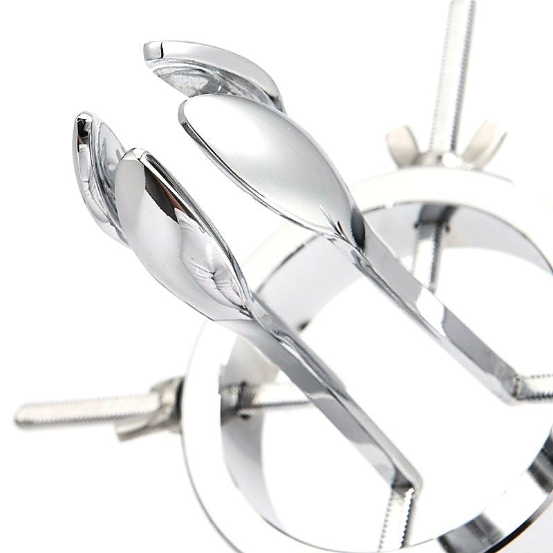 Stainless Steel Anal Expander By Bdstyle - Dental and Clinical
