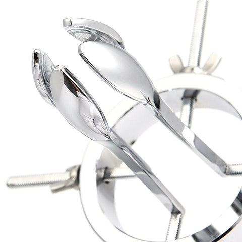 Stainless Steel Anal Expander By Bdstyle - Dental and Clinical