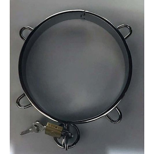 Minion Steel Collar - Collars and Leads