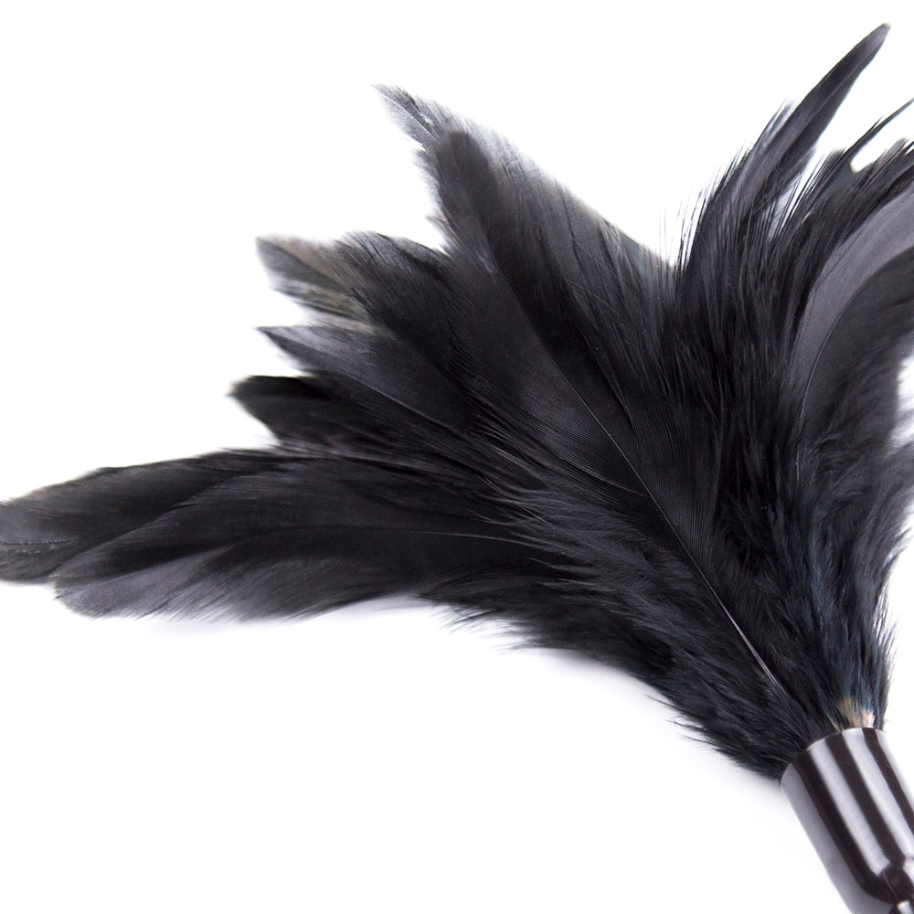 BDStyle Horn Sensory Play Feather Tickler - - Ticklers
