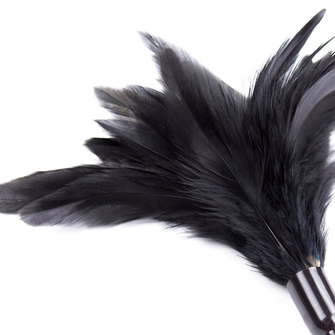 BDStyle Horn Sensory Play Feather Tickler - Ticklers