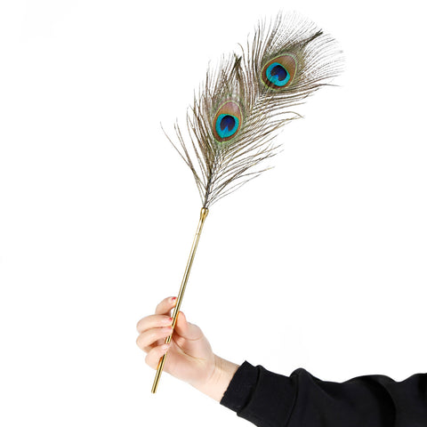 BDStyle BDSM Play Peacock Feather Tickler - Ticklers