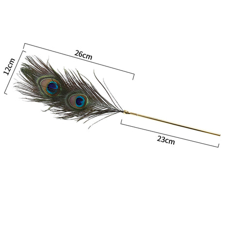 BDStyle BDSM Play Peacock Feather Tickler - Ticklers