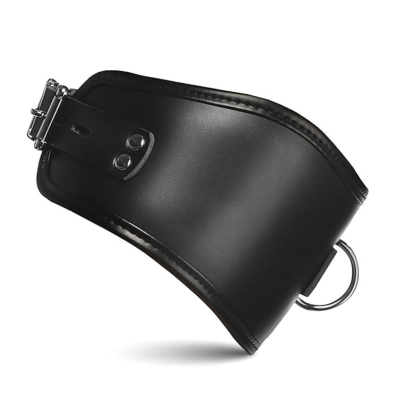Master Series Hard Stance Padded Locking Posture Collar - Collars and Leads