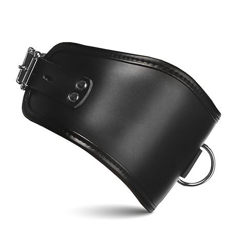 Master Series Hard Stance Padded Locking Posture Collar - Collars and Leads
