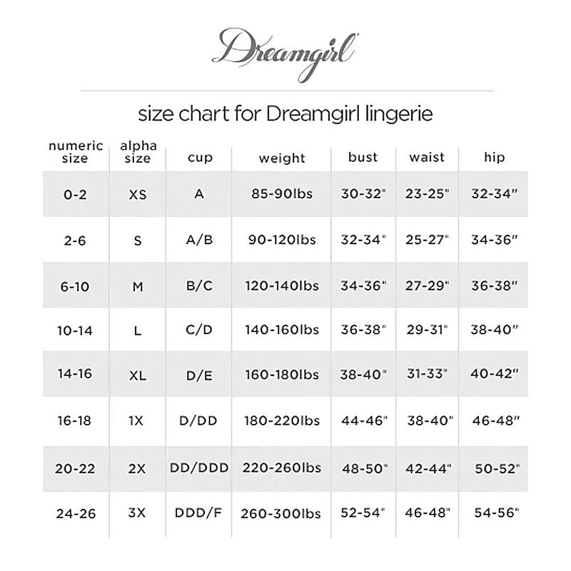 Stretch Mesh Closed Crotch Sexy Panty By Dream Girl Lingerie - G-Strings, Panties and Shorts
