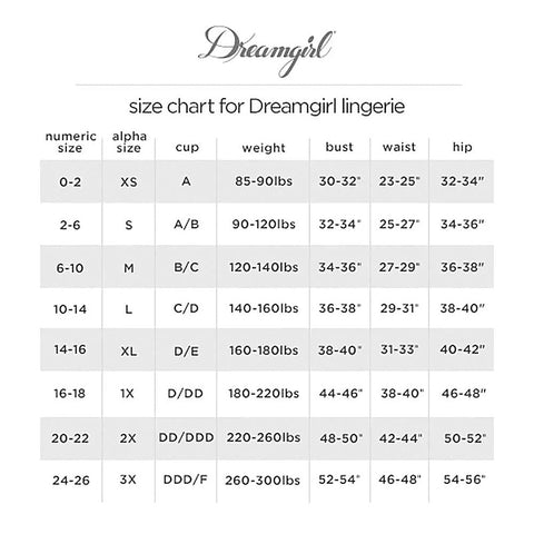 Stretch Mesh Closed Crotch Sexy Panty By Dream Girl Lingerie - G-Strings, Panties and Shorts