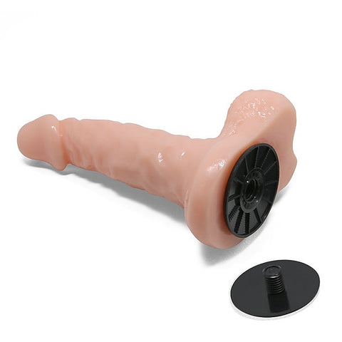 Strap On Realistic Cock And Dildo With Harness By Baile - Strap On Sextoys