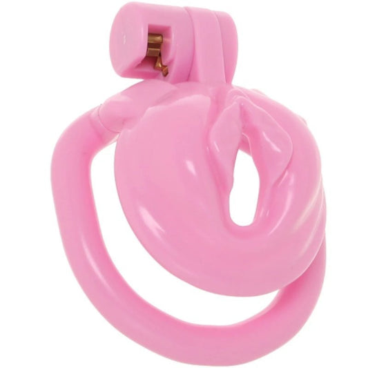 Bitchboy Degrading Mini Chastity Cage by Electric EEL Inc