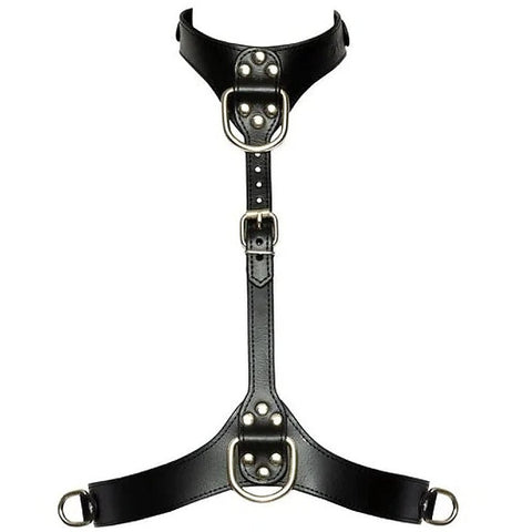 Bad Kitty Adjustable Chest Bondage Harness by Orion