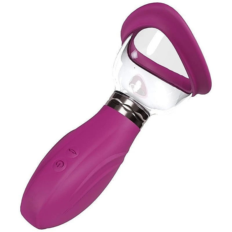 Pumped Delightful Auto Usb Rechargeable Ladies Pump - Pussy And Clit Toys
