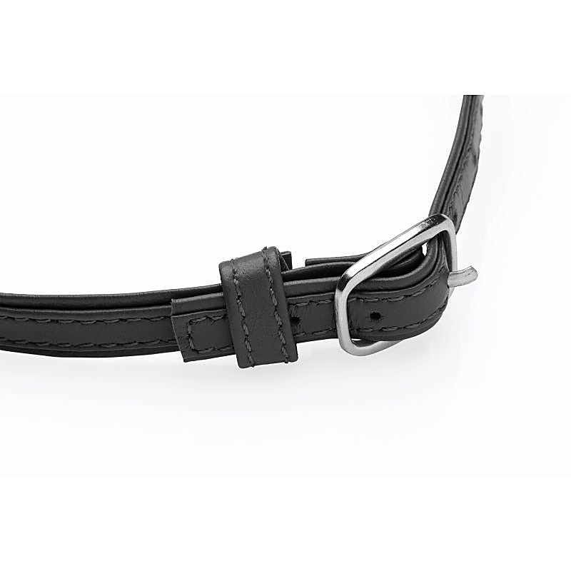 Master Series Sex Pet Leather Choker BDSM Collar With Silver Ring - Collars and Leads