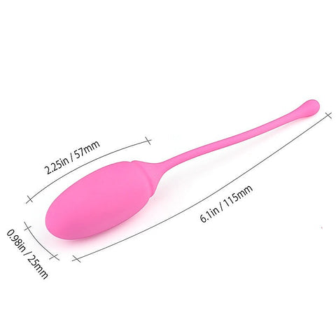 Deluxe Kegel Exerciser System By Bdstyle - Love Eggs and Kegel Exercisers