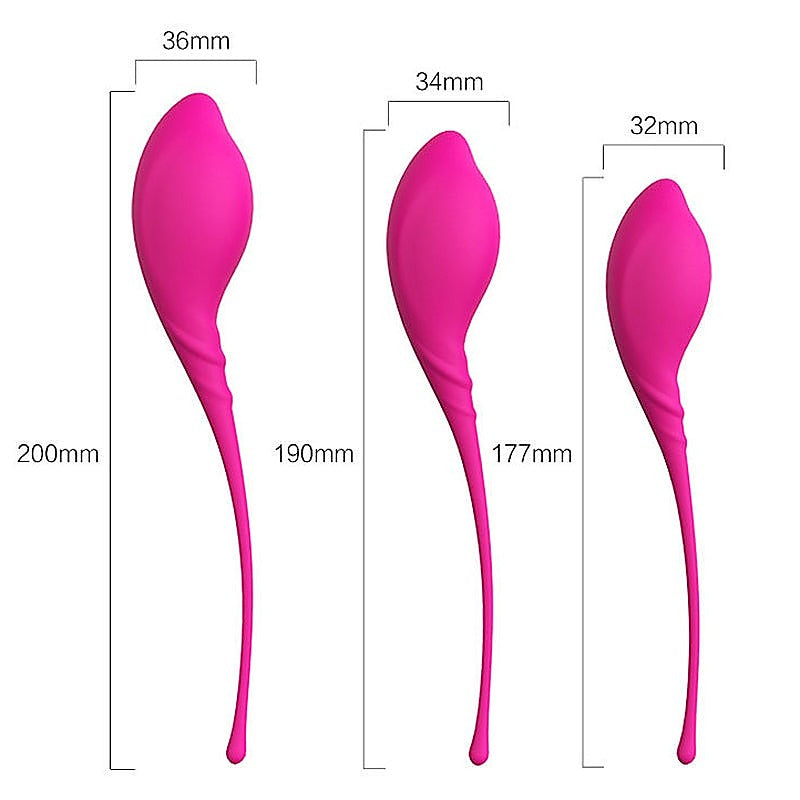 Lamboll Kegel Vaginal Exerciser Kit By S-Hande - Love Eggs and Kegel Exercisers