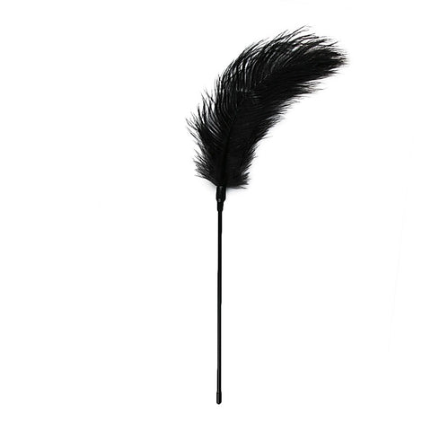 Bondage Play Feather Tickler By Easytoys - Ticklers