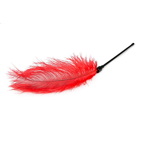 Bondage Play Feather Tickler By Easytoys - Ticklers