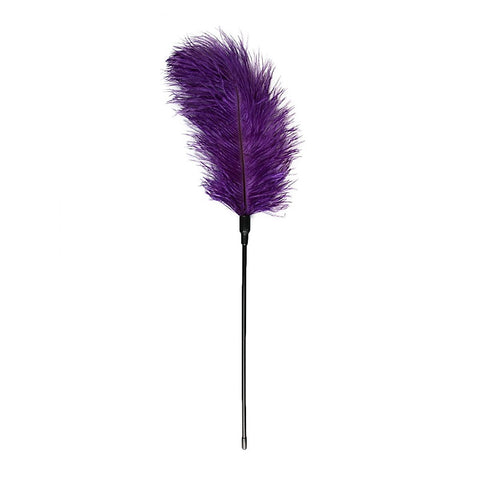 Bondage Play Feather Tickler By Easytoys - Ticklers