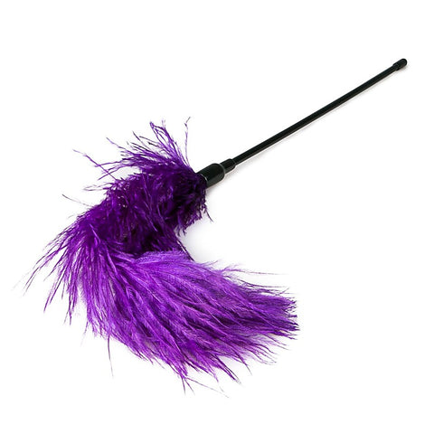 Bondage Play Feather Tickler By Easytoys - Ticklers