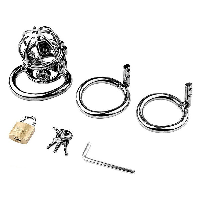 Spike Alloy Male Chastity Cock Cage By Bdstyle - Male Chastity