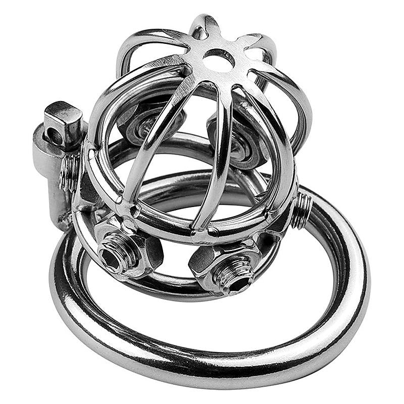 Spike Alloy Male Chastity Cock Cage By Bdstyle - Male Chastity