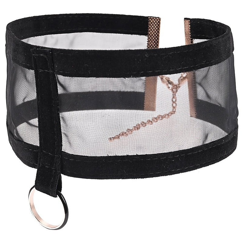 S&M Sheer Day Collar by Sportsheets - Her Fetish