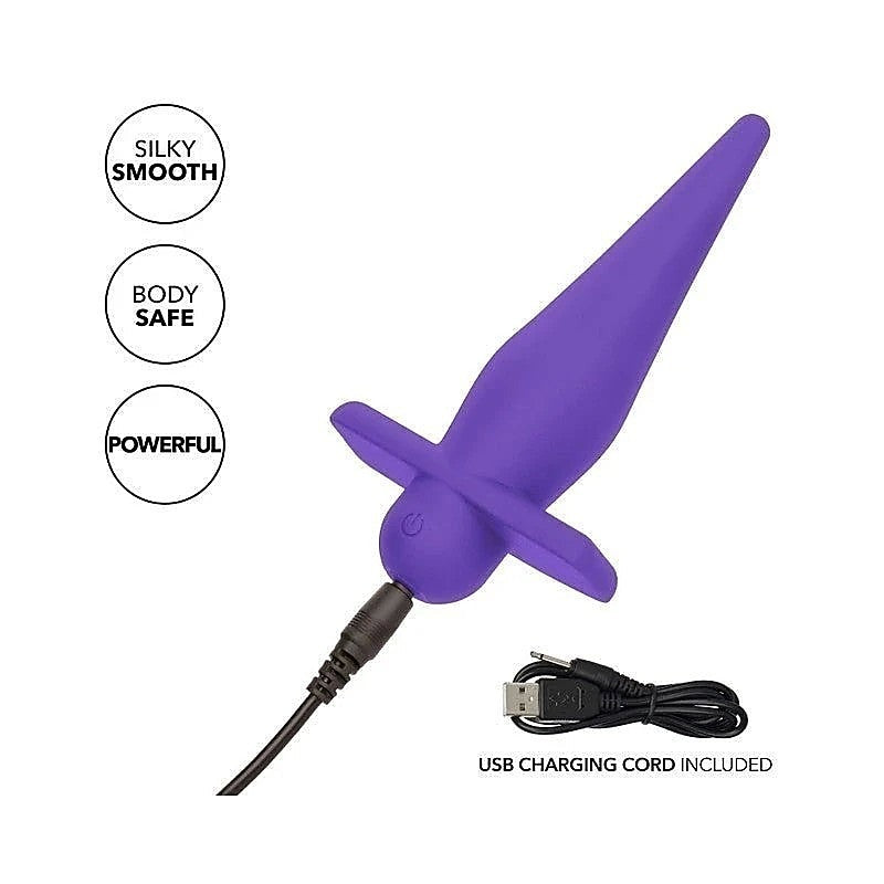 California Exotics Rechargeable High Intensity Anal Probe Purple - Anal Vibrators