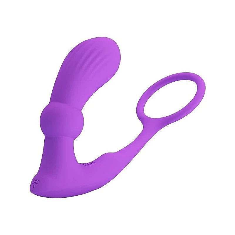 Warren Usb Rechargeable Prostate Massager By Baile - Prostate Toys