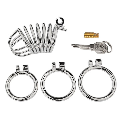 Male Chastity Bird Cock Cage With Hide Lock By Bdstyle - Male Chastity