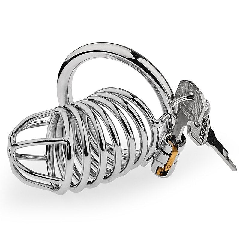 Male Chastity Bird Cock Cage With Hide Lock By Bdstyle - Male Chastity