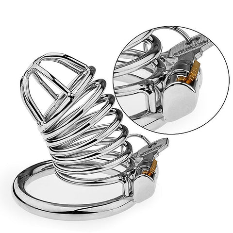 Male Chastity Bird Cock Cage With Hide Lock By Bdstyle - Male Chastity