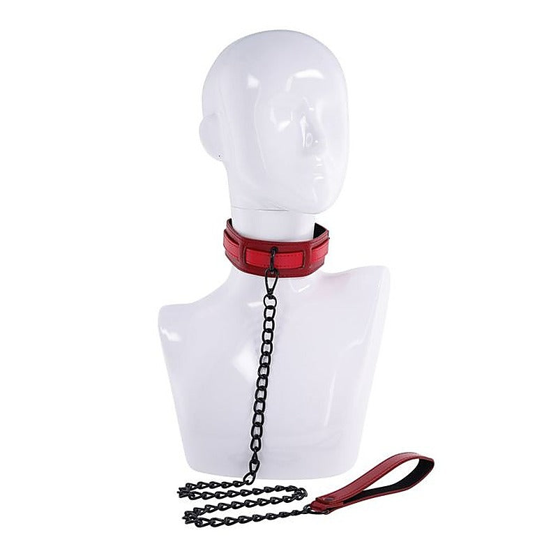 S&M Exs & Ohs Collar And Leash By Sportsheets - Collars and Leads