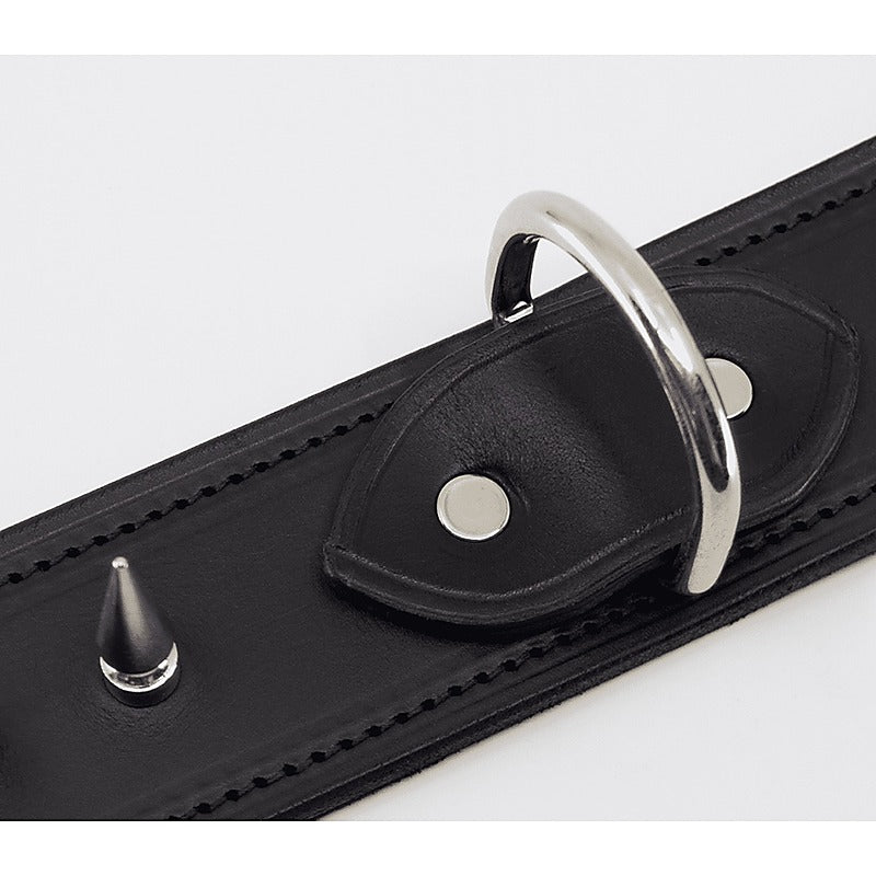 Love In Leather BDSM Collar With Long Spikes - Collars and Leads