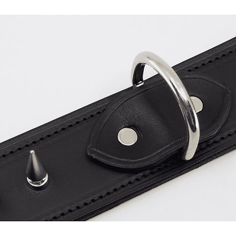 Love In Leather BDSM Collar With Long Spikes - Collars and Leads