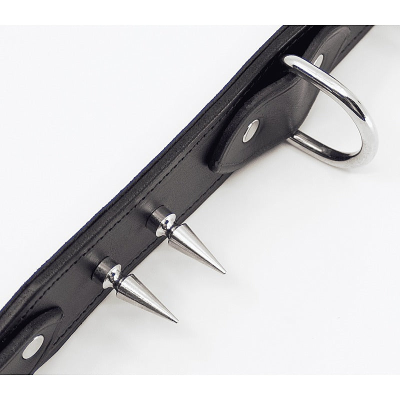 Love In Leather BDSM Collar With Long Spikes - Collars and Leads