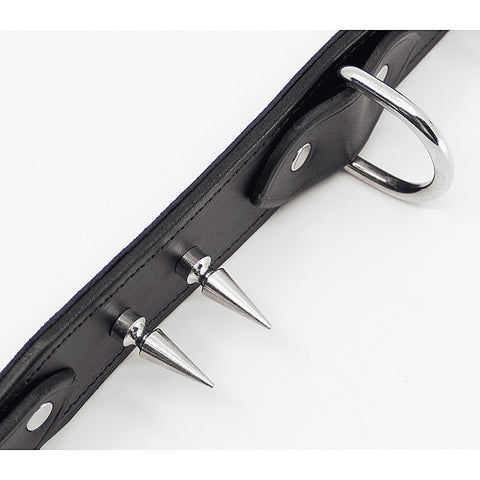 Love In Leather BDSM Collar With Long Spikes - Collars and Leads