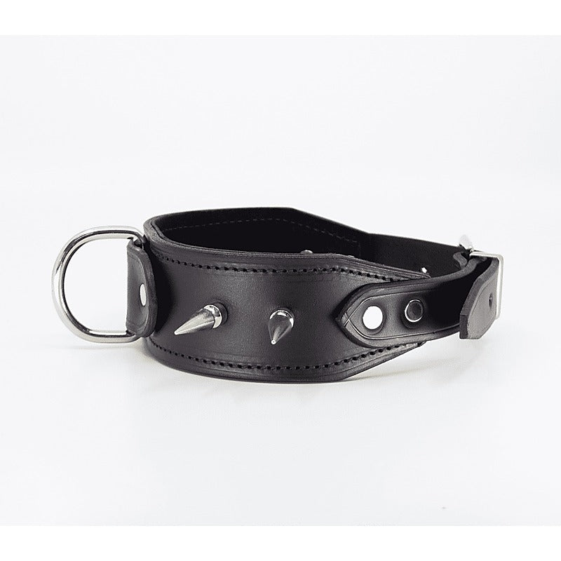 Love In Leather BDSM Collar With Long Spikes - Collars and Leads