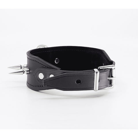 Love In Leather BDSM Collar With Long Spikes - Collars and Leads