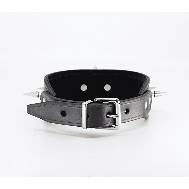 Love In Leather BDSM Collar With Long Spikes - Collars and Leads