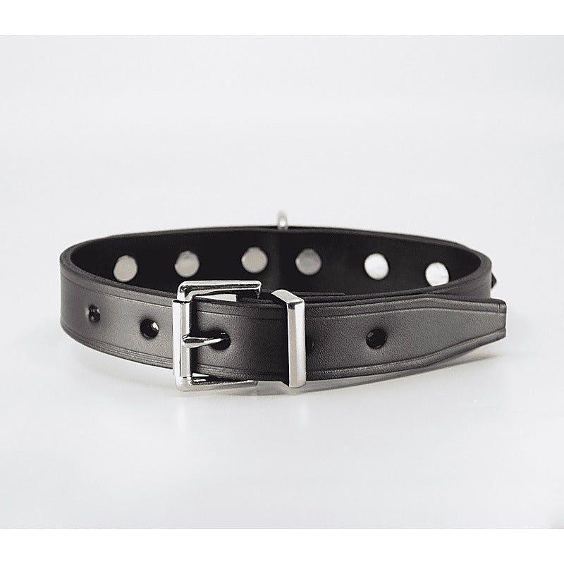 Love In Leather BDSM Collar With Short Dog Spikes - Collars and Leads